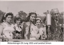 Blütenfest 1950-1990 