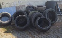 Umwelttag am 8. März 2025