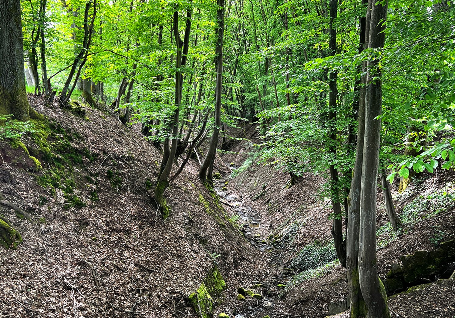 Freizeitanlage Höbelgraben