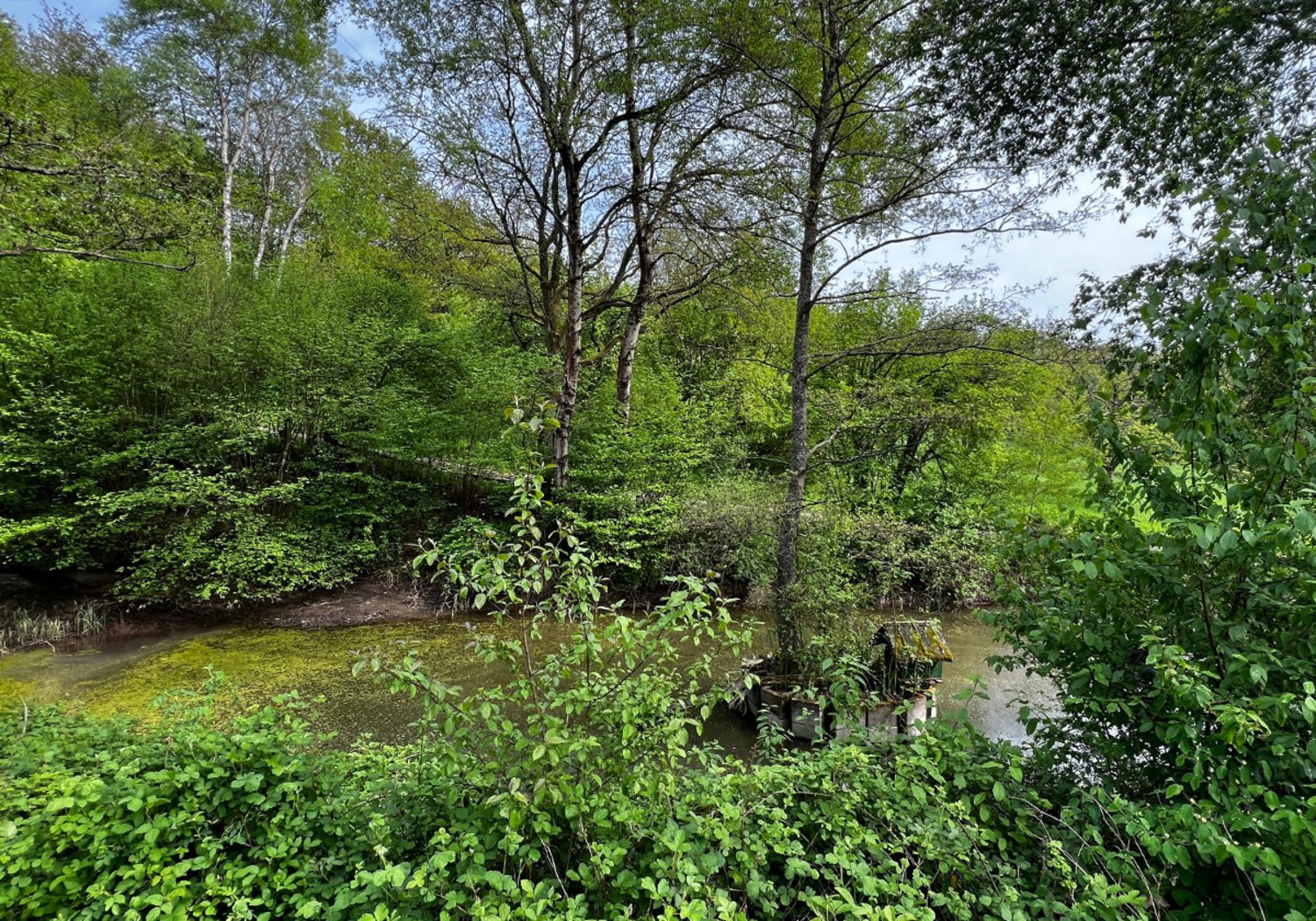 Freizeitanlage Höbelgraben Teich 